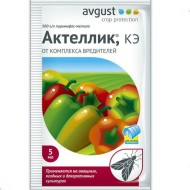 Правила агротехники высокоурожайного столового винограда Лора