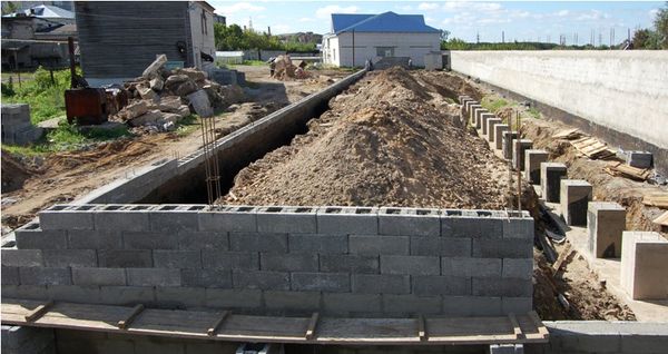 Преимущества и недостатки солнечного био-вегетария
