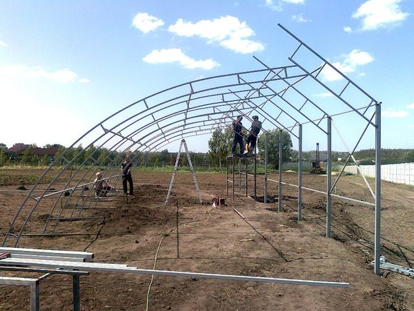Преимущества и недостатки солнечного био-вегетария