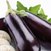 Проращивание семян баклажан: как повысить всхожесть
