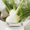 Секреты выращивания и ухода за фенхелем в домашних условиях