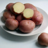 Картофель «Беллароза» – описание сорта