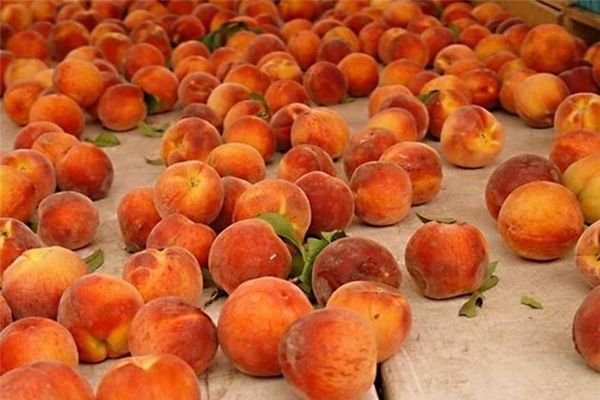 Когда созревают персики в разных регионах