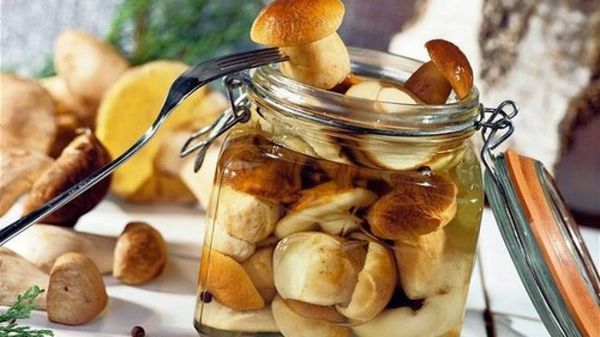 Лучшие рецепты маринованных грибов на зиму