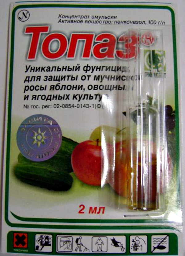 Методы лечения мучнистой росы на огурцах