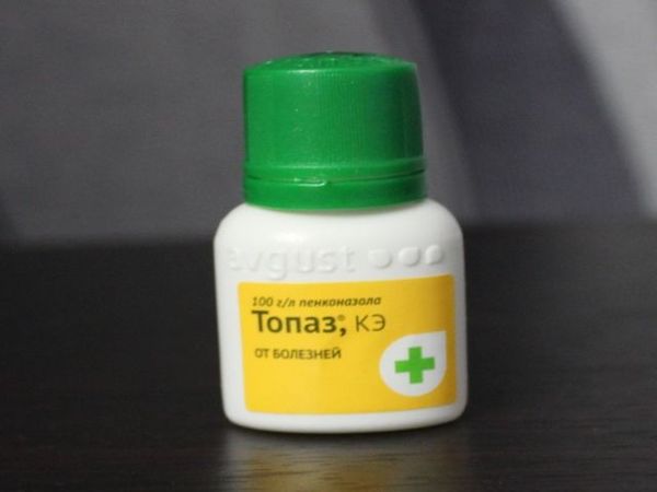 Назначение и инструкция по применению фунгицида «Топаз» для винограда