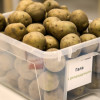 Обработка клубней картофеля: выбор средства