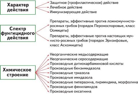 Обзор лучших фунгицидов для растений – 35 популярных препаратов