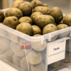Особенности полива картофеля в открытом грунте