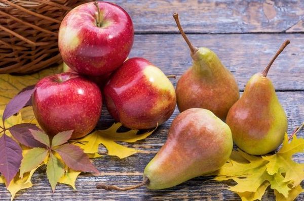 Как приготовить вино из яблок в домашних условиях: 14 простых рецептов