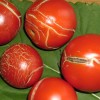 Каким болезням подвержены ваши помидоры
