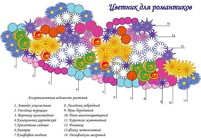 Миксбордер план схема