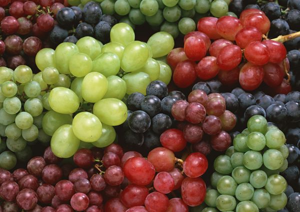 Виноград – это ягода, фрукт или все-таки овощ
