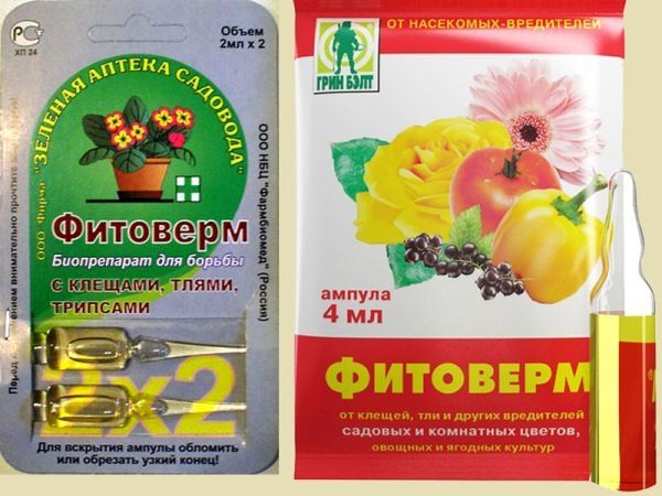Защита для растений с препаратом Фитоверм: инструкция по его применению