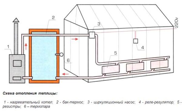6 правил для постройки теплицы любого размера и формы своими руками