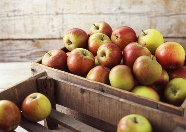 9 способов хранения яблок в домашних условиях на зиму
