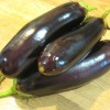 Как бороться с паутинными клещами на баклажанах?