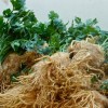 Как хранить корневой сельдерей: основные правила