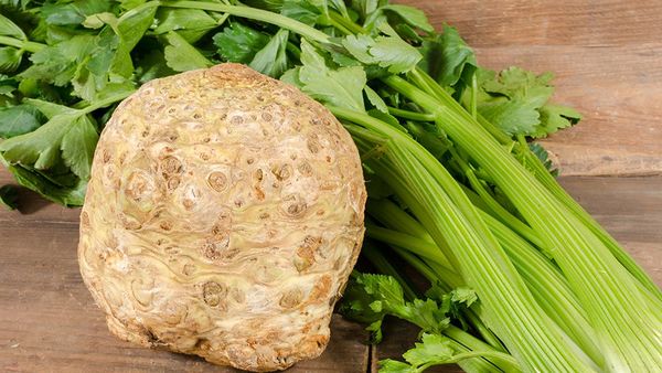 Когда убирать с грядки и как хранить корневой сельдерей