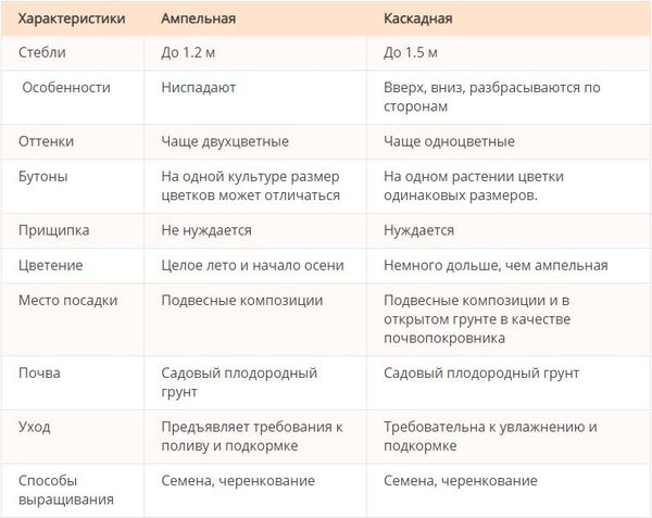 Обзор популярных сортов и особенности выращивания петунии ампельной