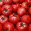 Особенности обработки томатов сывороткой