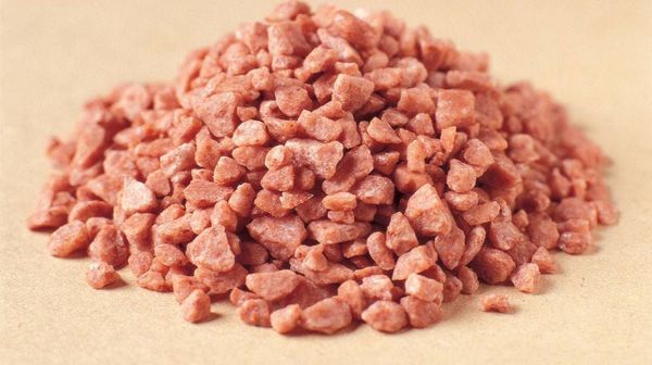 Подкормка черной и красной смородины для хорошей урожайности