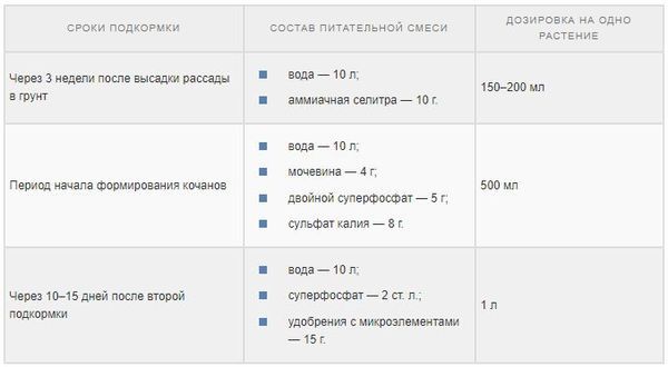 Выращиваем урожайную белокочанную капусту сорта Мегатон