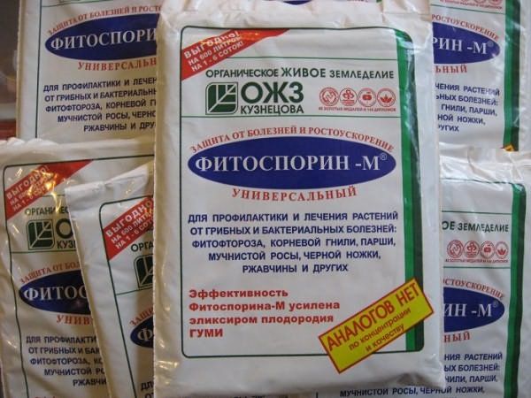 Борьба с болезнями и вредителями крыжовника