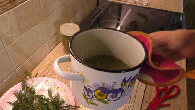 Чай из хвои сосны: польза и вред от применения иголок, правила приготовления и приема