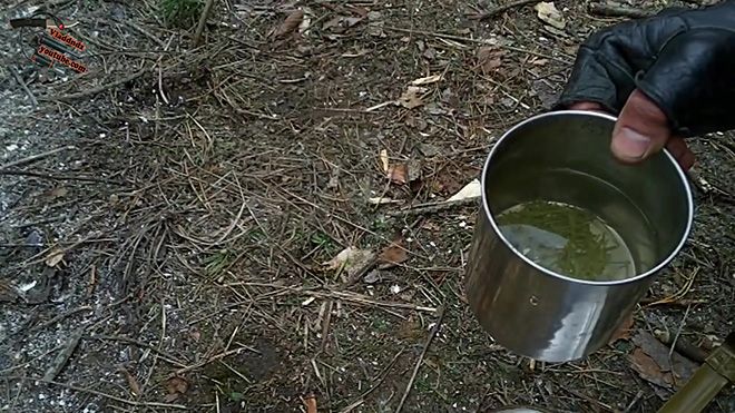Чай из хвои сосны: польза и вред от применения иголок, правила приготовления и приема