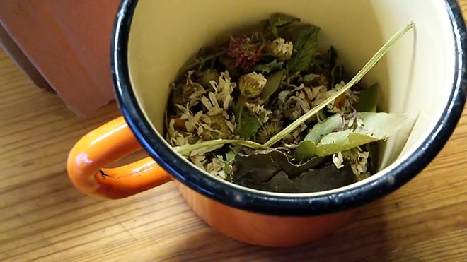 Чай из ромашки: полезные свойства и противопоказания для детей и взрослых