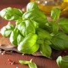 Как посадить семена базилика
