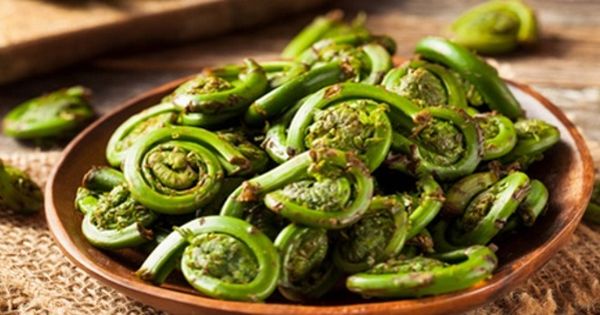 Как приготовить папоротник: самые вкусные рецепты