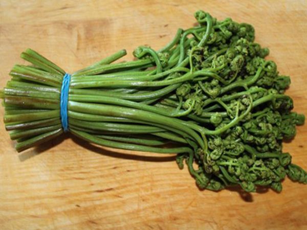 Как приготовить папоротник: самые вкусные рецепты