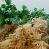 Как сохранить корневой и листовой сельдерей на зиму