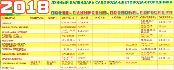 Лунный календарь 2023 года садовода для Урала на каждый месяц