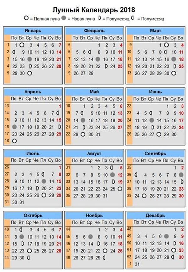 Лунный календарь для цветов на 2023 год: таблица ухода
