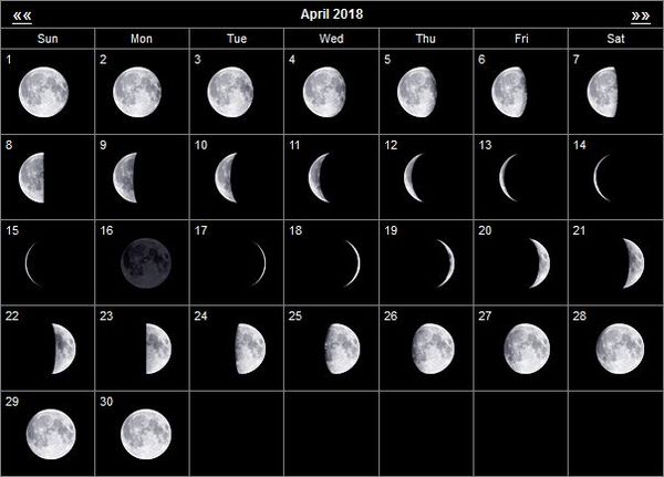 Лунный календарь огородника на апрель 2023 года: благоприятные дни