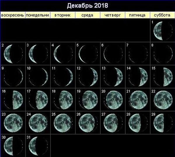 Лунный календарь огородника на декабрь 2023 года: благоприятные дни