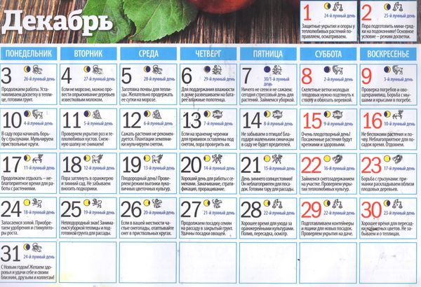 Лунный календарь огородника на декабрь 2023 года: благоприятные дни