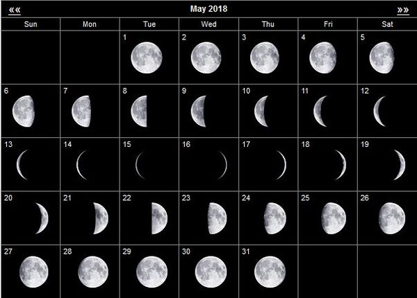 Лунный календарь огородника на май 2023: благоприятные дни