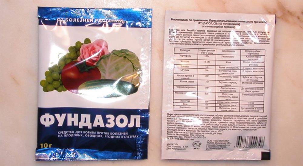 Меры борьбы c мучнистой росой на смородине