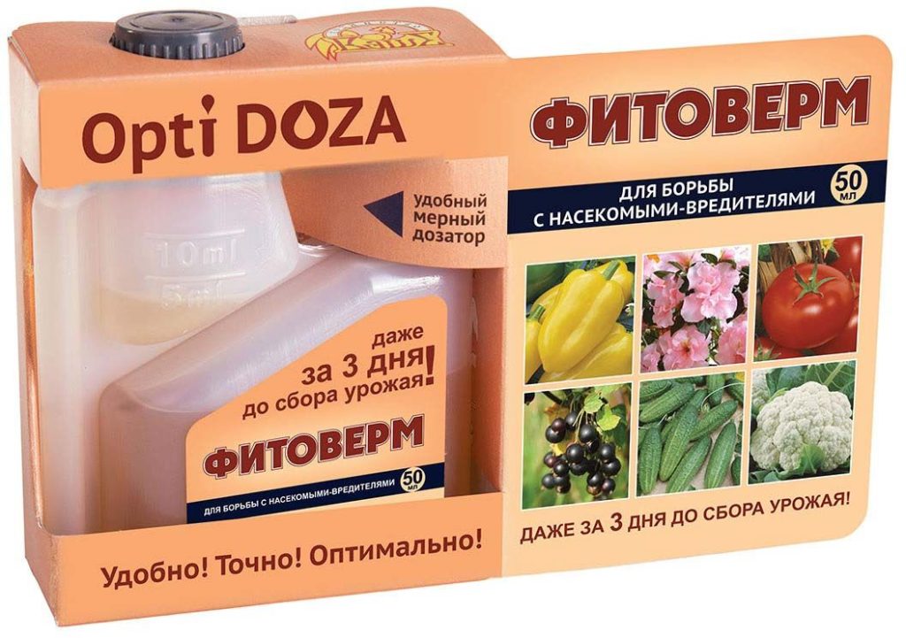 Обработка крыжовника от вредителей и болезней