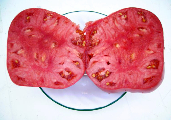 Очень крупный томат Розовый мед