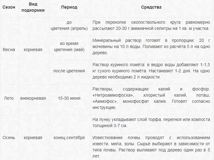 Описание и советы по выращиванию ранней черешни Ипуть