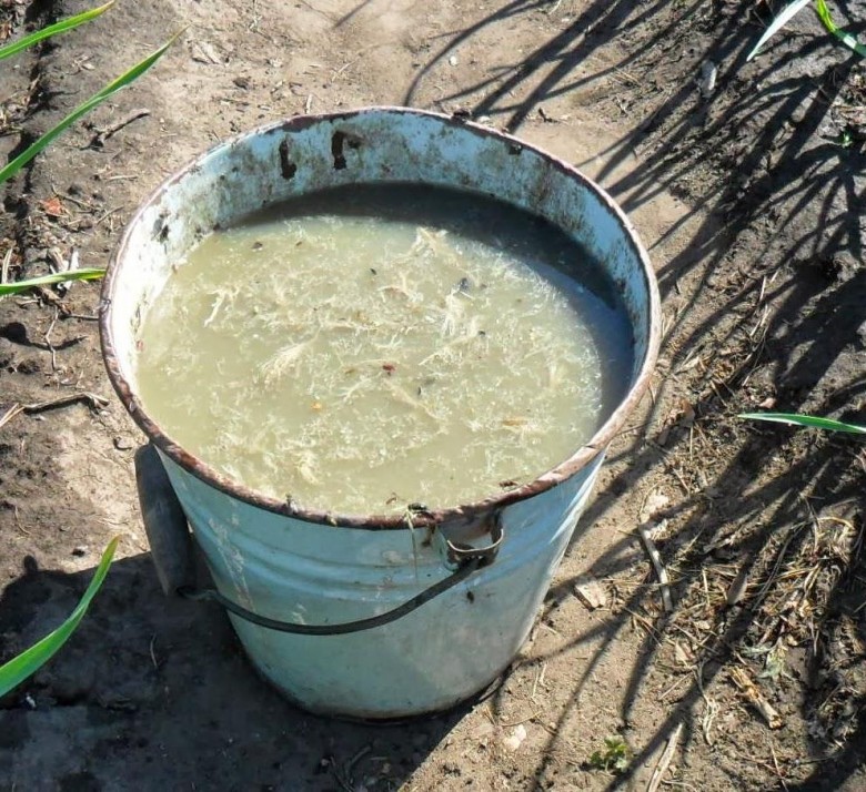 Подкормка для малины