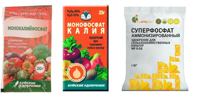 Подкормка для малины