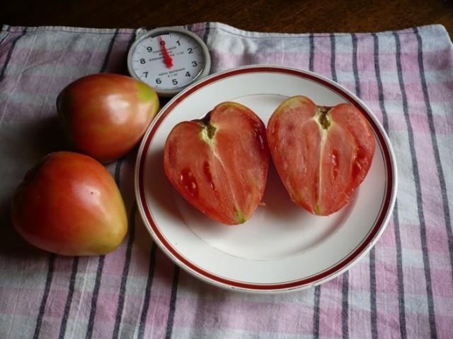Салатный томат «Батяня»: характеристика и описание сорта