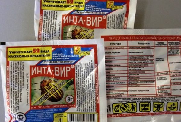 Вредители калины Вредители калины