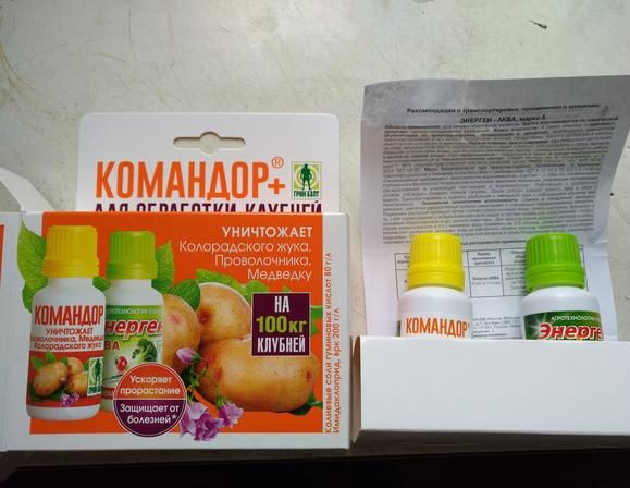 Вредители калины